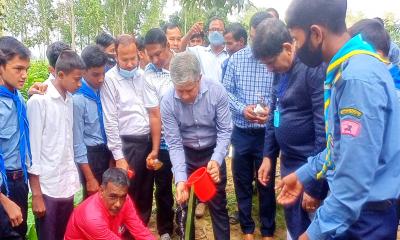 ঠাকুরগাঁওয়ে বজ্রপাত রোধে তাল বীজ রোপণ করবে জেলা প্রশাসন