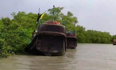 সুন্দরবন উপকূলে আশ্রয়ে রয়েছে অর্ধশত ফিশিংবোট