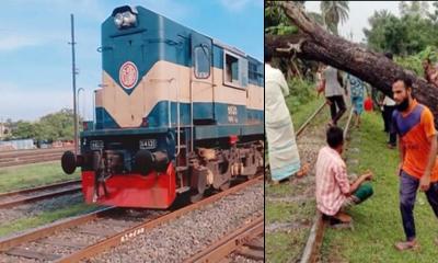 রেললাইনে গাছ: ঢাকা-ময়মনসিংহ রুটে ট্রেন চলাচল বন্ধ