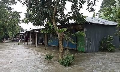 জোয়ারের পানিতে কমলনগর মেঘনা উপকূলীয় এলাকা প্লাবিত