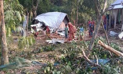 হালুয়াঘাটে বন্য হাতির তাণ্ডব থামছেই না, এবার বিনিষ্ট করলো বসতঘর