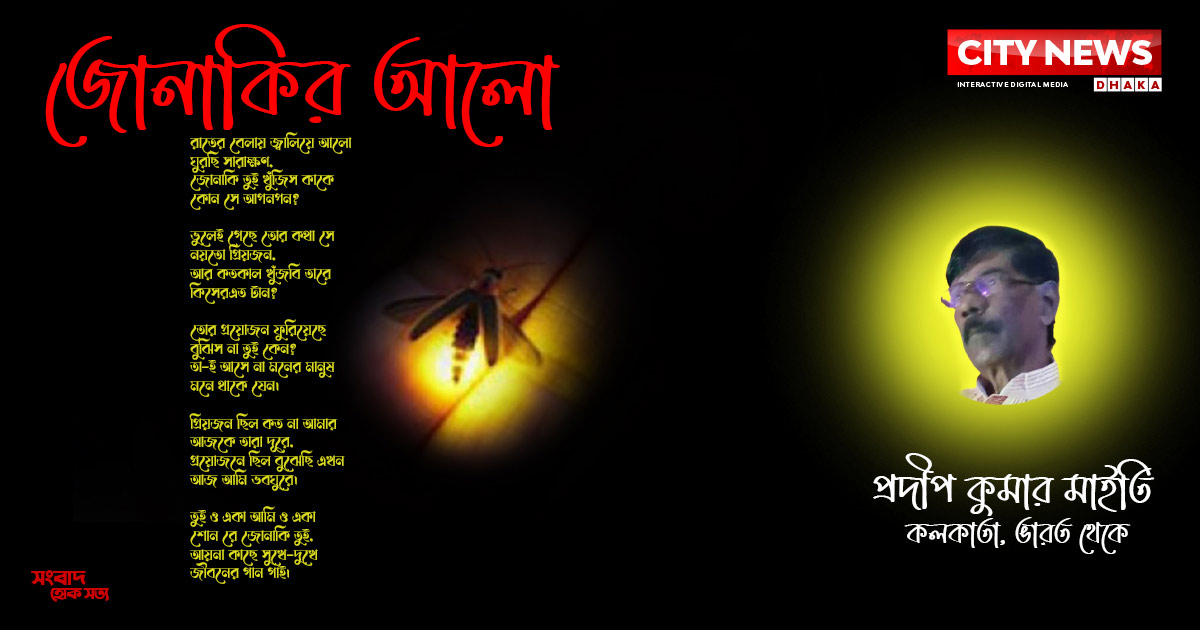 জোনাকির আলো