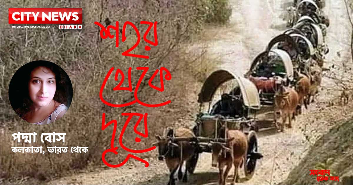 শহর থেকে দূরে