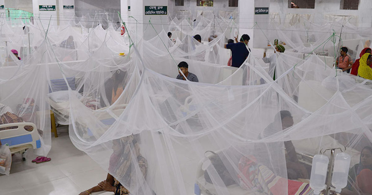 চলতি বছরে একদিনে সর্বোচ্চ ডেঙ্গু রোগী হাসপাতালে