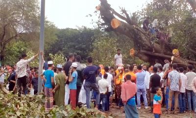 একটা গাছ কাটতেই ১৯ ঘণ্টা!