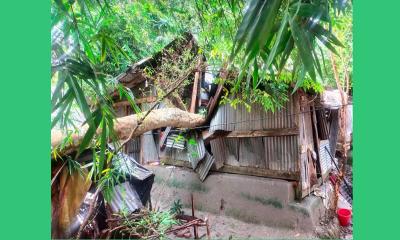 ঝালকাঠিতে শতাধিক বসতঘর বিধ্বস্ত, বিভিন্ন এলাকায় বিদ্যুৎ সরবারহ বন্ধ