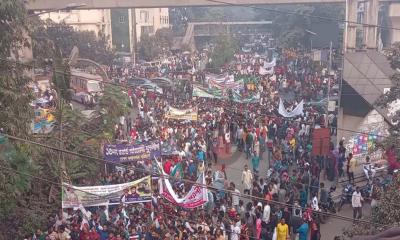 আওয়ামী লীগের বিজয় শোভাযাত্রায় নেতাকর্মীদের ঢল