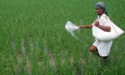 সার কিনতে সরকার ভর্তুকি দেবে ৪৬ হাজার কোটি টাকা