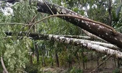 সিত্রাংয়ের প্রভাবে ভোলায় ২ ও নড়াইলে একজনের মৃত্যু