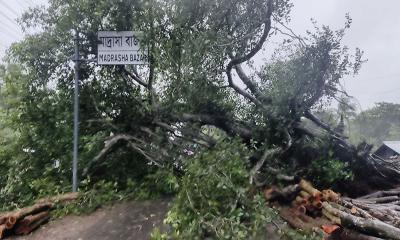 নড়াইলের সঙ্গে সারাদেশের যোগাযোগ বিচ্ছিন্ন