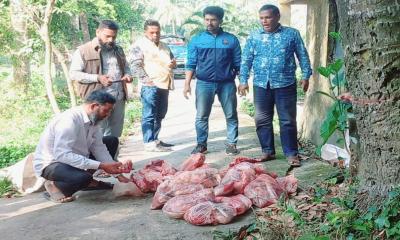 আটটি হরিণের মাংশ জব্দ