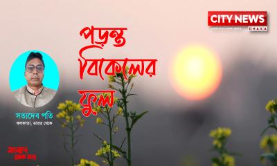 পড়ন্ত বিকেলের ফুল