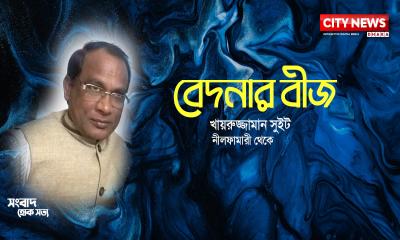 বেদনার বীজ