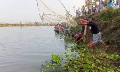 ঠাকুরগাঁওয়ে বুড়ি বাঁধে মাছ ধরতে হাজারো মানুষ