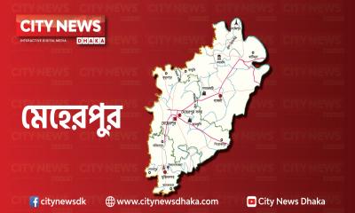 মেহেরপুরের গাংনীতে স্বামীর হাতে স্ত্রী খুন