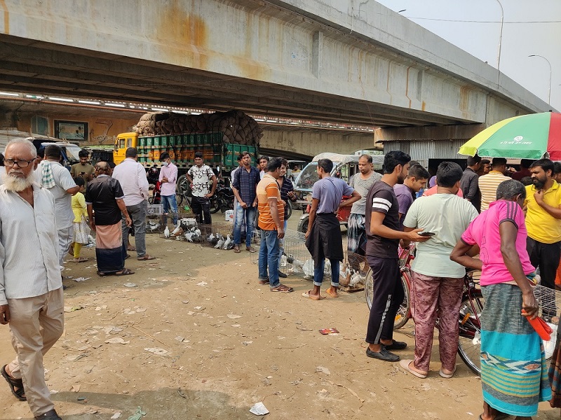 চুয়াডাঙ্গায় চালু হলো কবুতর ও বিদেশি পাখির হাট
