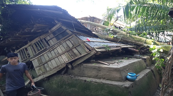 শরণখোলায় ঘূর্ণিঝড় সিত্রাংয়ে গাছ পড়ে সহস্রাধিক বসতঘর বিধ্বস্ত