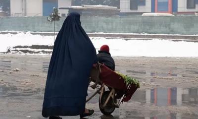 আফগানিস্তানে জাতিসংঘের সর্বোচ্চ সিনিয়র নারী কর্মকর্তা