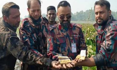 কাদামাটির মধ্যে মিলল সাড়ে ৩ কেজি স্বর্ণ