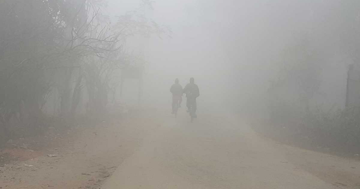 উত্তরের বাতাস বাড়িয়েছে শীতের অনুভূতি