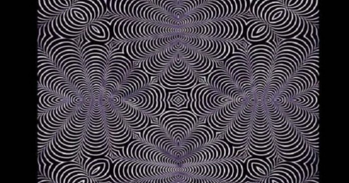 ছবিতে কী দেখছেন, বিড়াল না হরিণ? উত্তরই বলে দেবে আপনি কেমন মানুষ