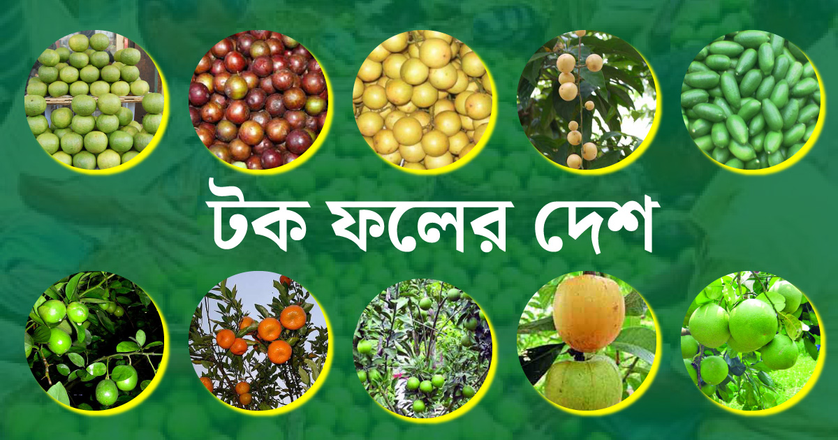 টক ফলের দেশ