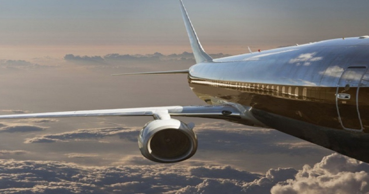 উড়ন্ত বিমানের দরজা খুলে গেল, তারপর যাত্রীদের যা হলো...