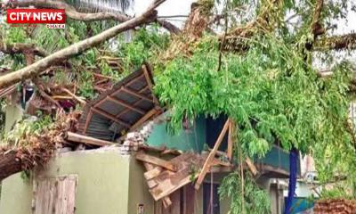 লালমনিরহাট পাটগ্রামে কালবৈশাখী ঝড়ের কবলে ব্যাপক ক্ষয়ক্ষতি