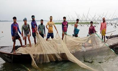 মধ্যরাত থেকে সুন্দরবন ও বঙ্গোপসাগরে মাছ ধরা নিষিদ্ধ