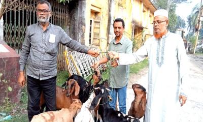 ১ বছর সাজা খেটে মুক্তি পেল ৯ ছাগল