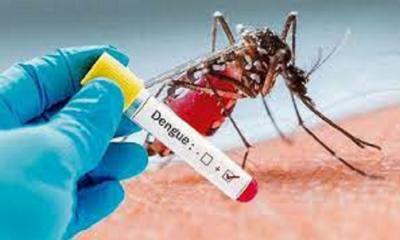 15 more infected with dengue fever