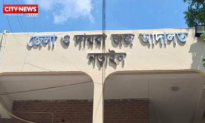 নড়াইলে ইজিবাইক চালক হত্যা মামলায় ২ জনের মৃত্যুদন্ড