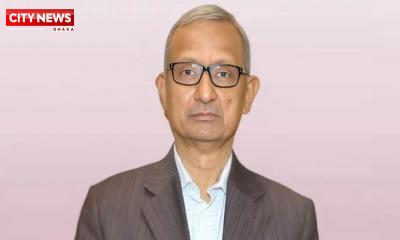 ‘মেঘনা আলমকে গ্রেফতার করে কোনো বেআইনি কাজ করেনি সরকার’