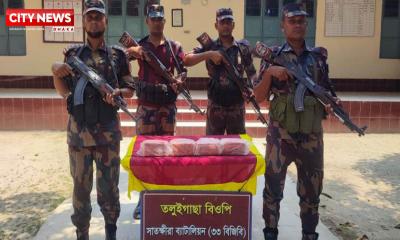 সাতক্ষীরায় বিজিবির অভিযানে সাড়ে ৭লক্ষ টাকার ভারতীয় মাল জব্দ