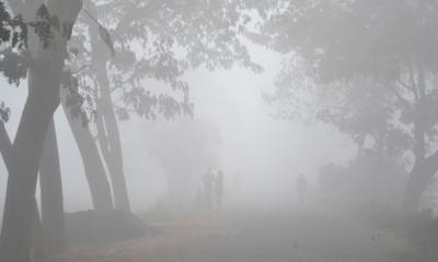 ঘন কুয়াশার স্থায়িত্ব নিয়ে যা জানাল আবহাওয়া অধিদপ্তর