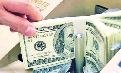 Remittance inflow rises by 21pc in November