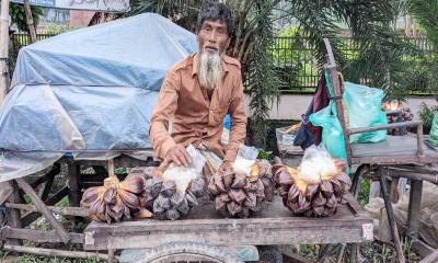 ‘গোলফল বিক্রি করে সংসার চলে দুই পা হারানো আব্দুর রহমানের’