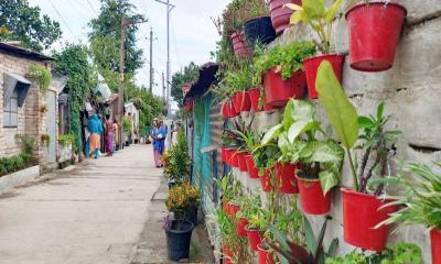 মুগ্ধতা ছড়াচ্ছে বদলে যাওয়া বাঁশবাড়ি কলোনি