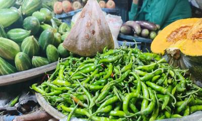 কাঁচা মরিচের কেজি ৬০০ টাকা