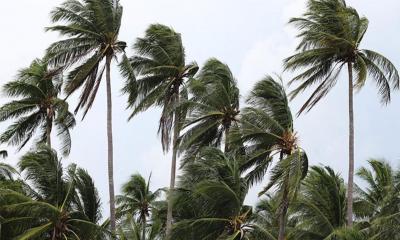 আজ রাতেই ৬০ কিমি বেগে ঝড়ের পূর্বাভাস দিয়েছে আবহাওয়া অধিদপ্তর