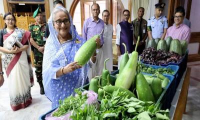 গণভবনে এলো গোপালগঞ্জে উৎপাদিত সবজি