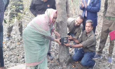 সুন্দরবনে বাঘ গণনার ক্যামেরা চুরির ঘটনায় আটক ১৪