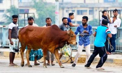 ৬০ হাজার কোটি টাকার বেশি পশু বিক্রি