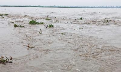 লালমনিরহাটে বিপৎসীমার ওপরে তিস্তার পানি