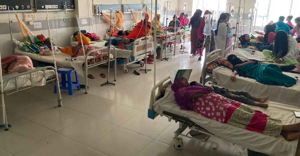 ডেঙ্গুতে আরও ১৩ মৃত্যু