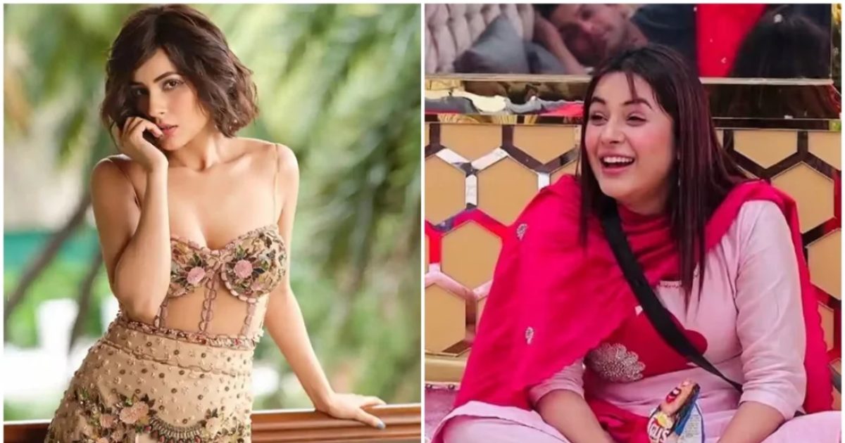 ওজন কমিয়েই বলিউডে শেহনাজ