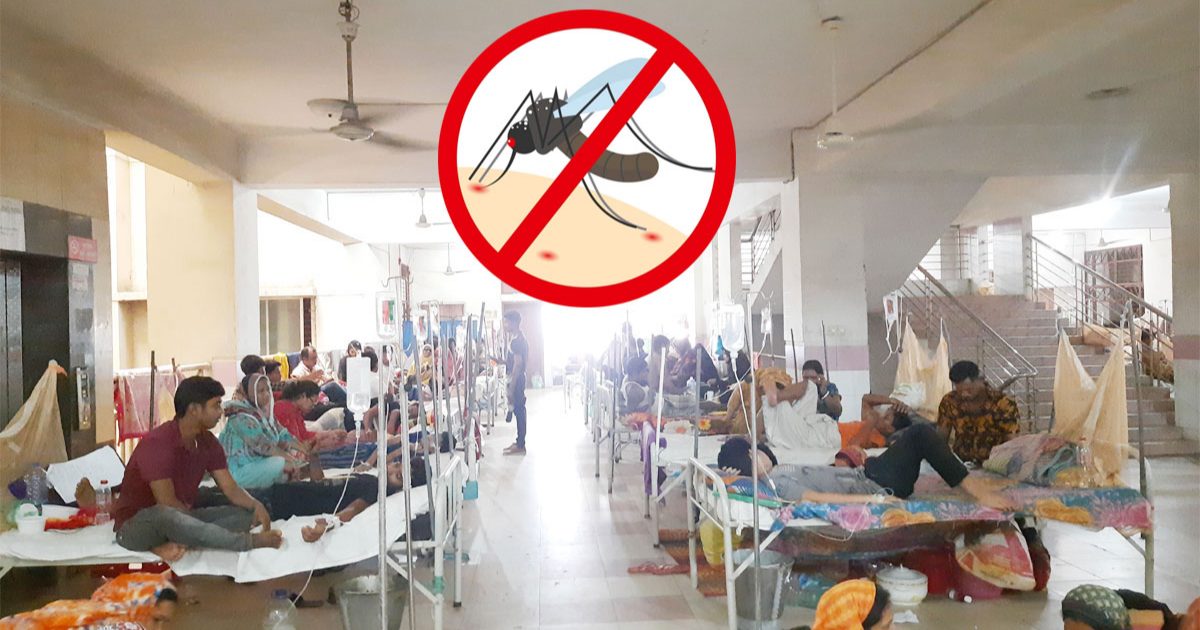 ডেঙ্গুতে ৭ জনের মৃত্যু, হাসপাতালে ভর্তি ১৬২৩