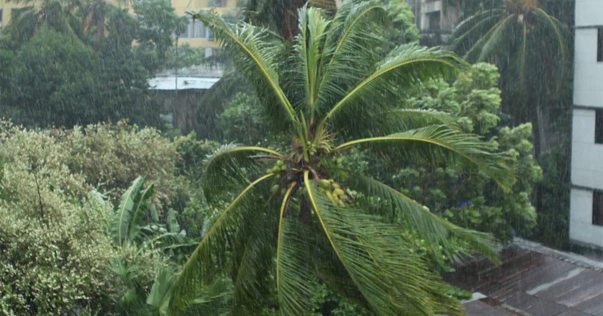 মোখা এখন বাংলাদেশ থেকে কতটা দূরে...