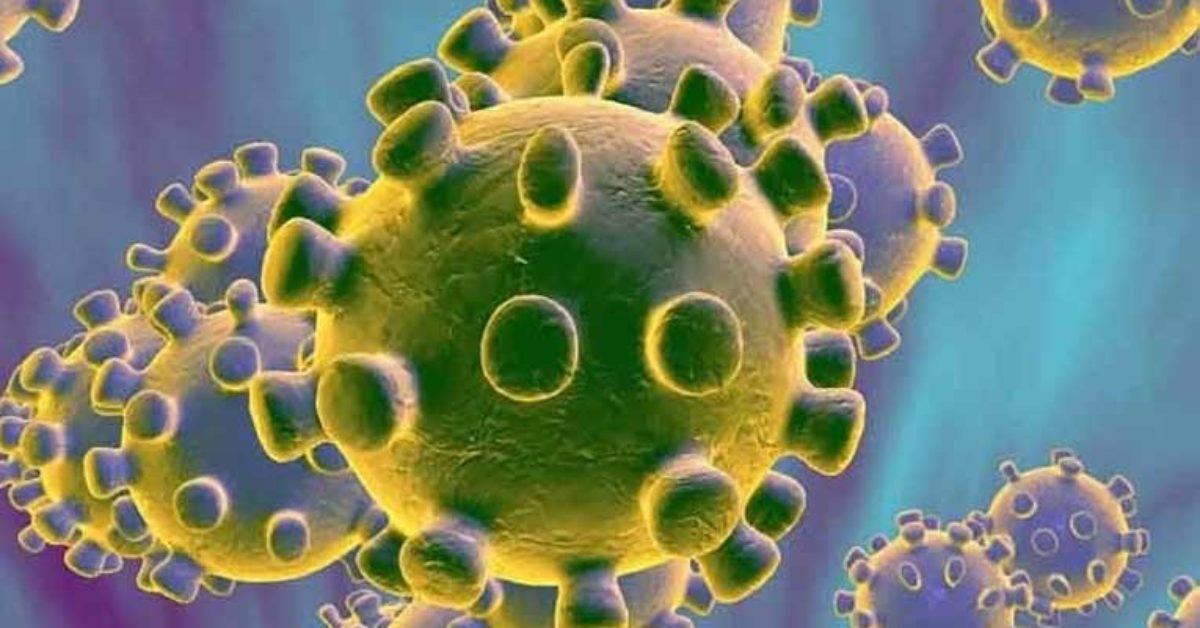 করোনা শনাক্তের হার কমলো