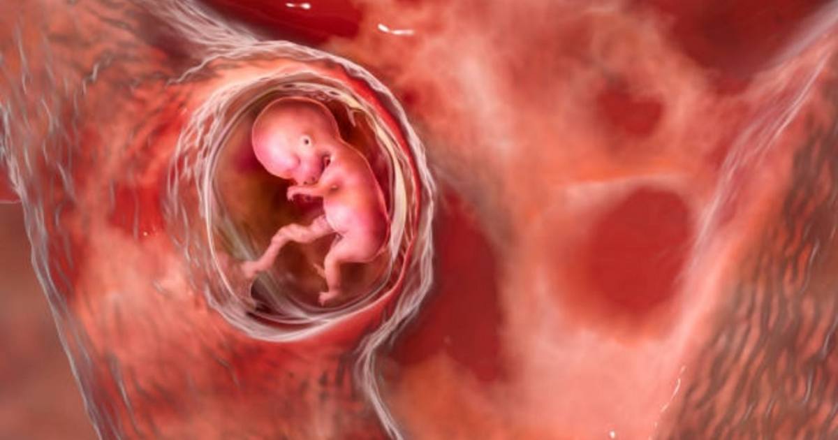 যুক্তরাষ্ট্রে তিনজনের ডিএনএ নিয়ে শিশু জন্মালো